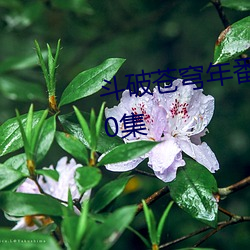 斗破苍(蒼)穹年番(番)全(全)集在线(線)观(觀)看(看)免费70集