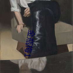 金瓶梅1 （画虎类狗）