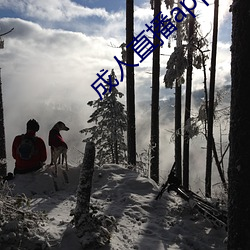成人直播app下载