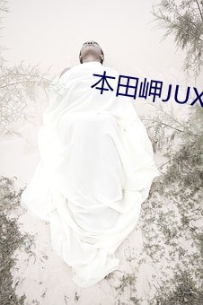 本田岬(jiǎ)JUX