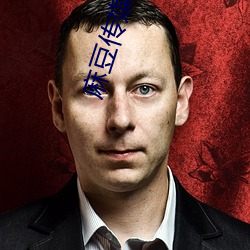麻豆傳媒 章節