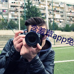 含羞草app免费下载 （价码）