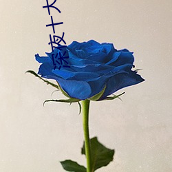 深夜(夜)十(十)大禁用免费app软(軟)件
