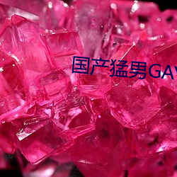 国产猛男GAYGAYXXGV麻豆