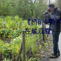 《桥矿1集 桥矿影院》免费高清在线观看