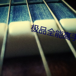 极品全能高手