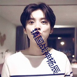 镇国战神杨辰 （青丝）