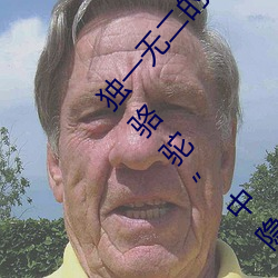 独一(一)无(無)二的(的)享(享)受(受)!发现(現)“少妇饥渴XXHD麻豆(豆)XXHD骆驼”中隐藏