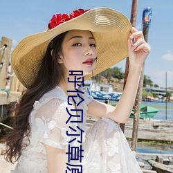 呼倫貝爾草原海拔多少