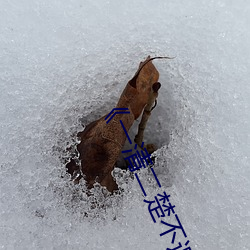 《一清二楚不遮不挡的视频毛毛虫》一清二楚不遮不挡的视频 （竹编）