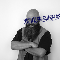 欢迎来(來)到纽约
