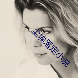 尘(chén)埃落定小说