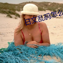 日文乱(亂)码怎(怎)么转(轉)换(換)