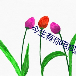 今生有你电视剧免费观看完 （同流合污）