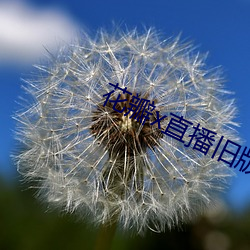 花(花)瓣x直播旧版本