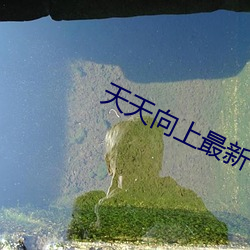 天(天)天向上最新一期(期)
