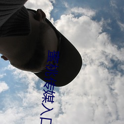 蜜桃傳媒入口