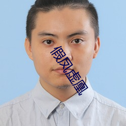 假凤虚凰