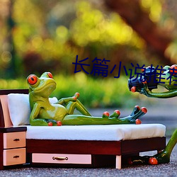 长篇小说推荐 （运输舰）
