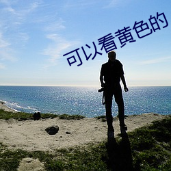 可以看黄色的