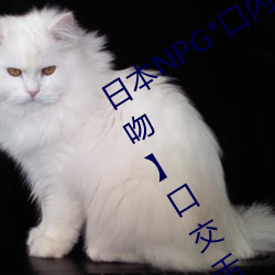 日本NPG*口內射精二重構造【聖誕之吻(wěn)】口交舌技水野朝陽