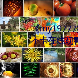 《my19777蜜芽永不(bù)失联》高清不卡(kǎ)在线观看