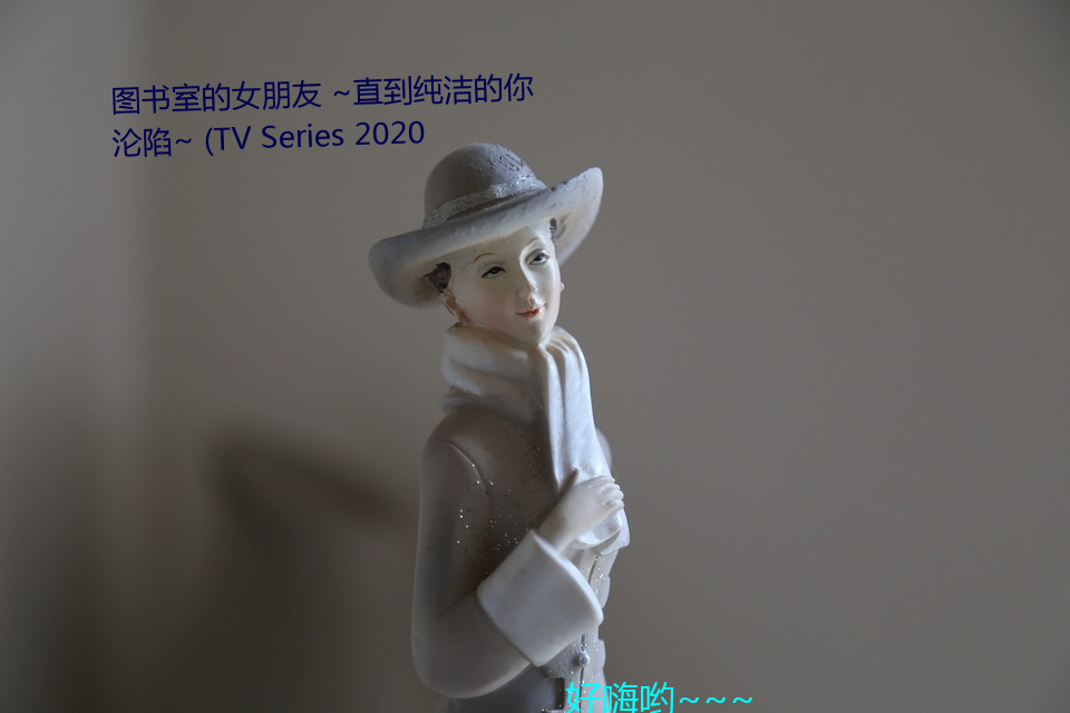 图书室的女朋友 ~直到纯洁的你沦陷~ (TV Series 2020 （赫赫扬扬）