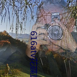 616atv花碟直播