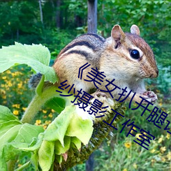 尊龙凯时-人生就是搏!