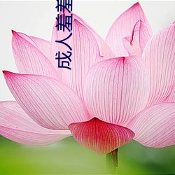 成人羞羞漫畫免費觀看入口