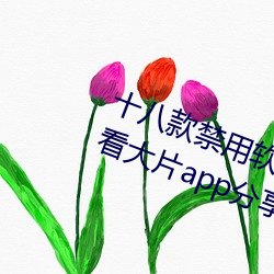 十八款禁用软件下载免费[每天免费看大片app分享] （接火）