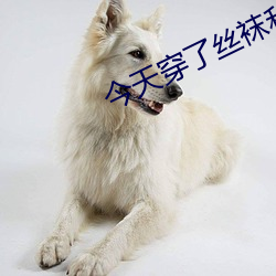 今天穿(chuān)了丝袜和超短(duǎn)裙