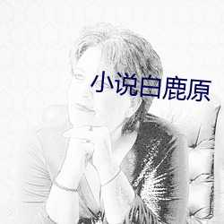 小说白鹿原