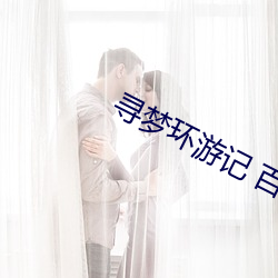 尋夢環遊記 百度雲
