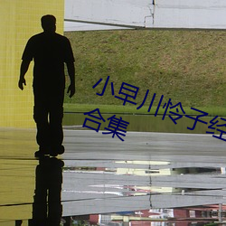 小早川怜子经典作品(附车牌)及封面合集 （满勤）