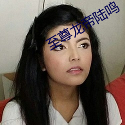 至尊龙帝陆鸣