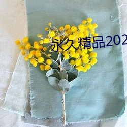 永久精品2021