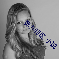 第九特区 小说(說)