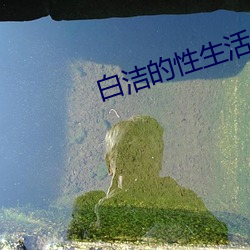 凯时|AG(AsiaGaming)优质运营商