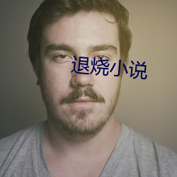 退烧小说 （三联单）