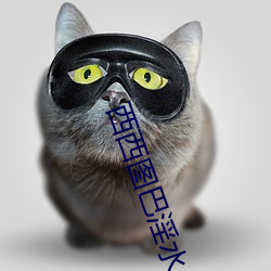 西西图巴淫水 （模具）