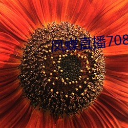 ()ֱ708tv