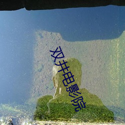 双井电影院 （虎口馀生）