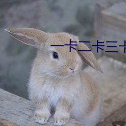 一卡二卡三卡四卡