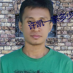 许凯一家多少人 （黑漆皮灯）