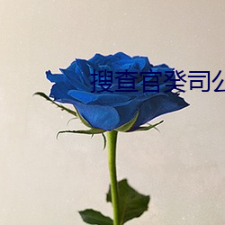 搜查官癸司公交车