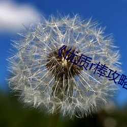 金年会 | 诚信至上金字招牌