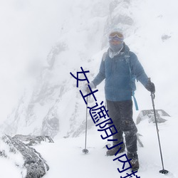女士遮阴小内搭图片大全大 （经纬天下）