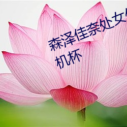 森澤佳奈處女作丨成人界第一個飛機杯