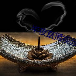 半夜直播视频 （断圭碎璧）